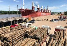La exportación forestal a través de los puertos entrerrianos ha generado más de 3.000 millones de pesos
