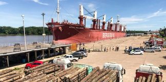 La exportación forestal a través de los puertos entrerrianos ha generado más de 3.000 millones de pesos