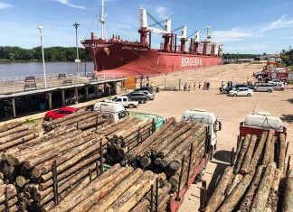La exportación forestal a través de los puertos entrerrianos ha generado más de 3.000 millones de pesos