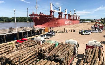 La exportación forestal a través de los puertos entrerrianos ha generado más de 3.000 millones de pesos