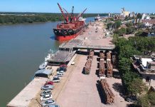 Es casi constante el ritmo de embarque en los puertos entrerrianos