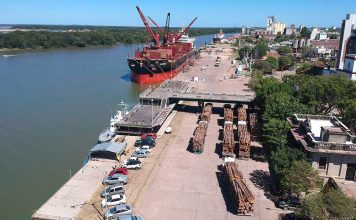 Es casi constante el ritmo de embarque en los puertos entrerrianos