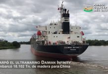 Zarpó el Daiwan Infinity e ingresó el Lintan