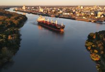 Zarpó el DL Marigold con casi 13.000 toneladas de troncos de pino