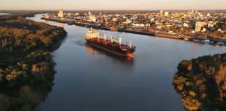 Zarpó el DL Marigold con casi 13.000 toneladas de troncos de pino