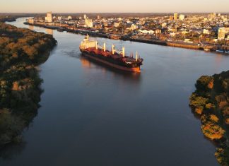 Zarpó el DL Marigold con casi 13.000 toneladas de troncos de pino