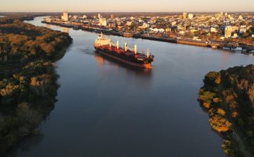 Zarpó el DL Marigold con casi 13.000 toneladas de troncos de pino