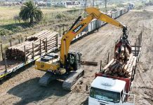 Puerto de Concepción del Uruguay: Dos buques en una semana, madera por tren, y barcazas con granos