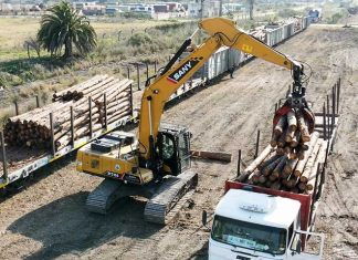 Puerto de Concepción del Uruguay: Dos buques en una semana, madera por tren, y barcazas con granos