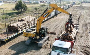 Puerto de Concepción del Uruguay: Dos buques en una semana, madera por tren, y barcazas con granos