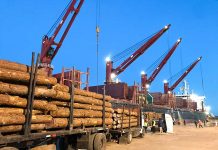 Dos buques cargan en simultáneo en los puertos entrerrianos