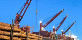 Dos buques cargan en simultáneo en los puertos entrerrianos