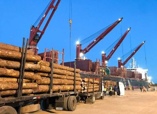 Dos buques cargan en simultáneo en los puertos entrerrianos