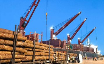 Dos buques cargan en simultáneo en los puertos entrerrianos