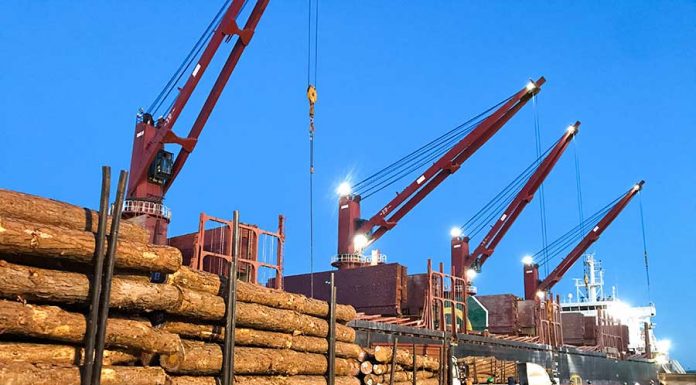Dos buques cargan en simultáneo en los puertos entrerrianos