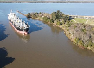 Los puertos entrerrianos suman dos nuevas exportaciones a la India