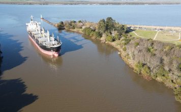 Los puertos entrerrianos suman dos nuevas exportaciones a la India