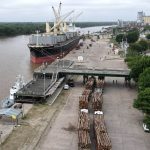 Zarpó una nueva exportación a la India