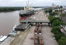 Zarpó una nueva exportación a la India