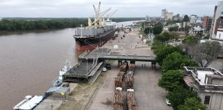 Zarpó una nueva exportación a la India