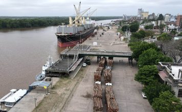 Zarpó una nueva exportación a la India