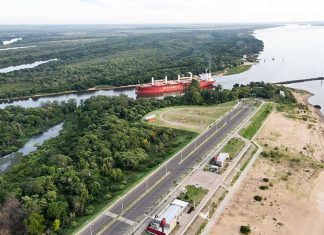 El buque Berge Annopuri carga en el puerto de Concepción del Uruguay
