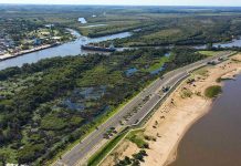 Nueva exportación de troncos de pino desde Concepción del Uruguay