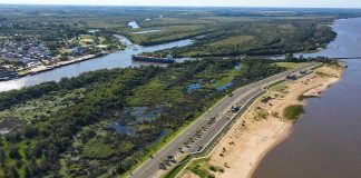 Nueva exportación de troncos de pino desde Concepción del Uruguay