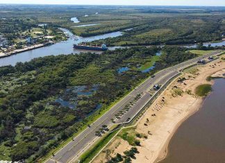 Nueva exportación de troncos de pino desde Concepción del Uruguay