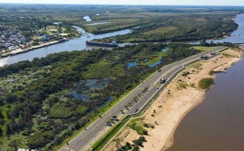 Nueva exportación de troncos de pino desde Concepción del Uruguay