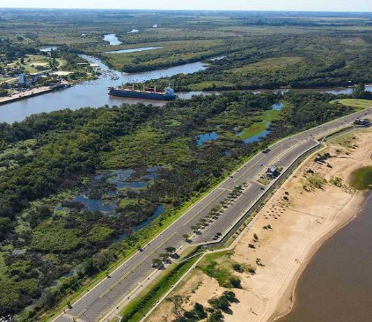 Nueva exportación de troncos de pino desde Concepción del Uruguay