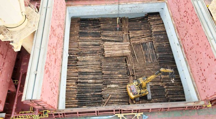 Entre Ríos completa una nueva exportación a la India en conjunto con Uruguay