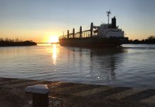 Se completó un nuevo embarque de exportación