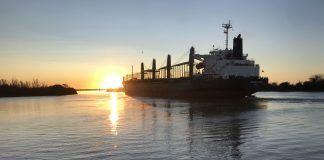 Se completó un nuevo embarque de exportación