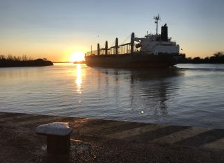 Se completó un nuevo embarque de exportación