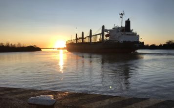 Se completó un nuevo embarque de exportación