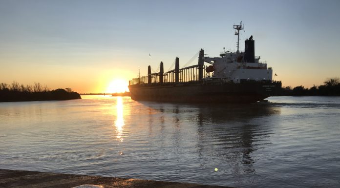 Se completó un nuevo embarque de exportación