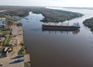 Intensa actividad de exportación en los puertos entrerrianos