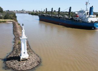 Un nuevo buque comenzó a cargar en Concepción del Uruguay