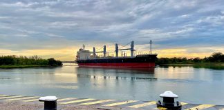 Comenzó a cargar el Tsukuyomi Eternity en el Puerto de Concepción del Uruguay