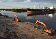 La industria forestal suma productos para exportar