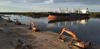 La industria forestal suma productos para exportar