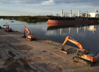 La industria forestal suma productos para exportar