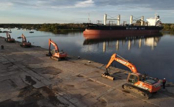 La industria forestal suma productos para exportar