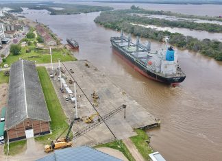 Ingresó otro buque al puerto y se esperan dos más para los próximos días