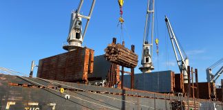 El puerto sigue exportando mientras planifica diversificar las cargas