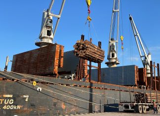 El puerto sigue exportando mientras planifica diversificar las cargas