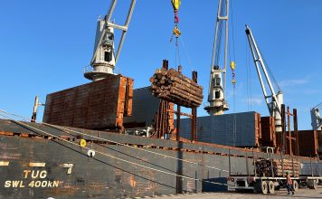 El puerto sigue exportando mientras planifica diversificar las cargas