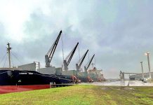 El puerto exporta madera, recibe combustible, y acopia granos en el Elevador Terminal