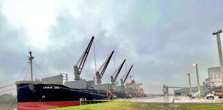 El puerto exporta madera, recibe combustible, y acopia granos en el Elevador Terminal